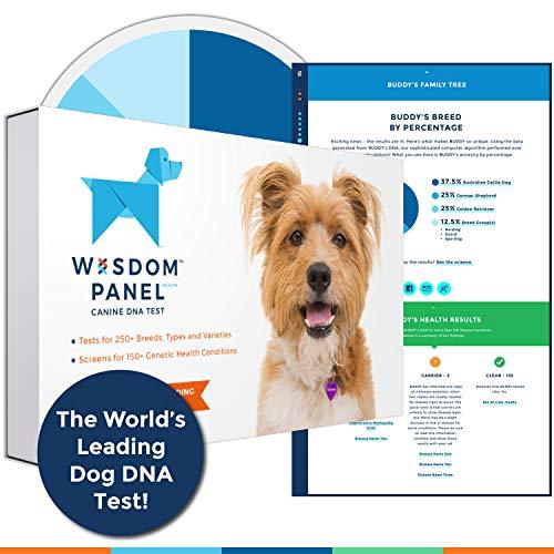 Wisdom Panel Health Canine DNA Test Canine Health Test Kit for Dogs Drug Testing