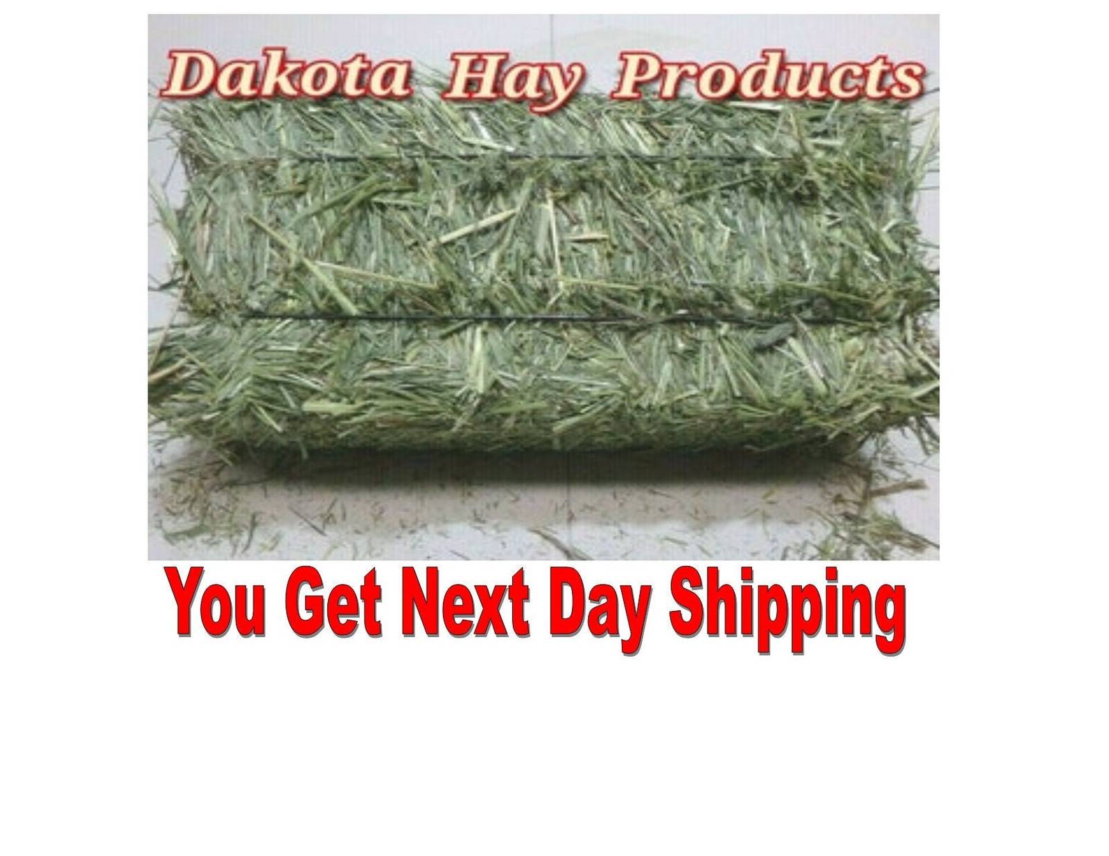 Orchard grass Hay 1 Bale green, clean, fresh and good for all small