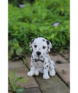 Pet Pals-Dalmatian Puppy-Garden Statue, Garden Decoration, Home Decor, A... - $32.99