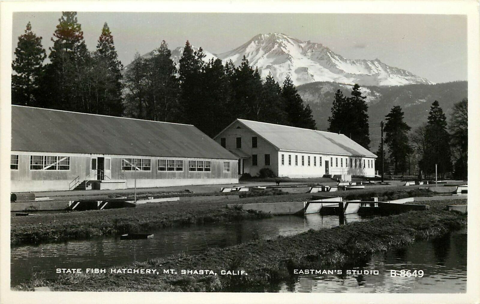 RPPC Postcard; State Fish Hatchery Mt. Shasta CA Eastman B8649
