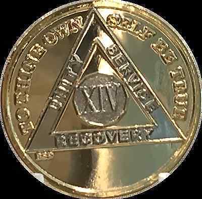 6 Year Gold /& Nickel Plated AA Alcoholics Anonymous Medallion Bi Plate Sobriety