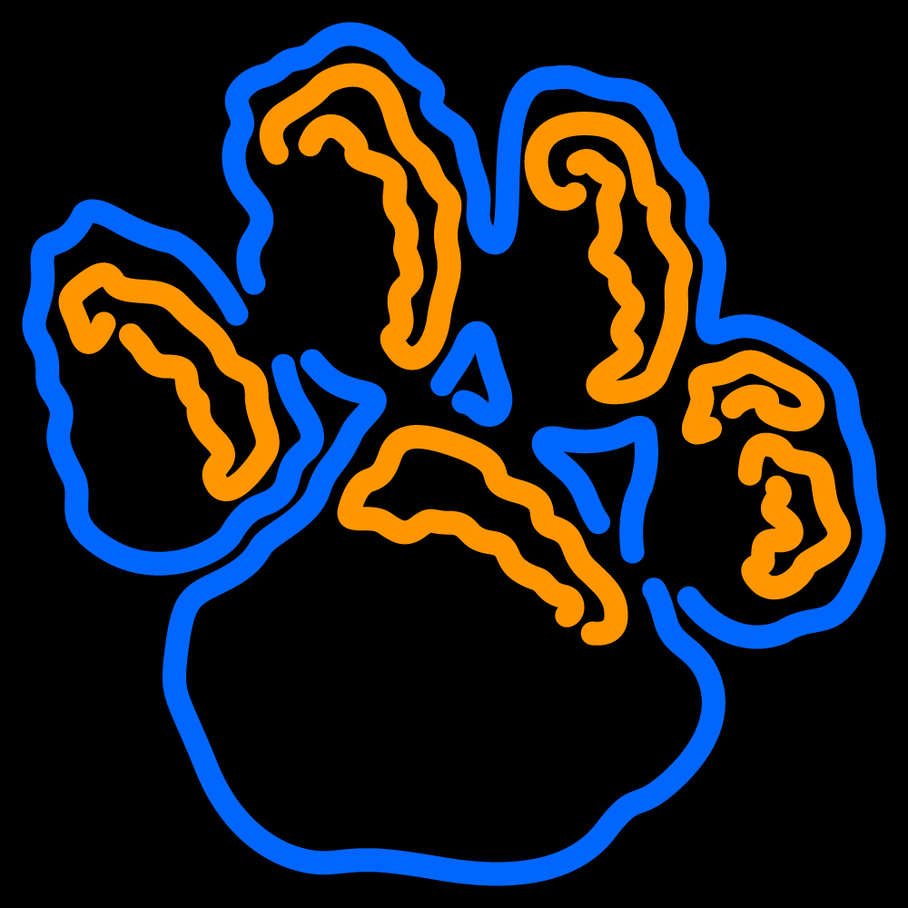 Tiger deals princeton