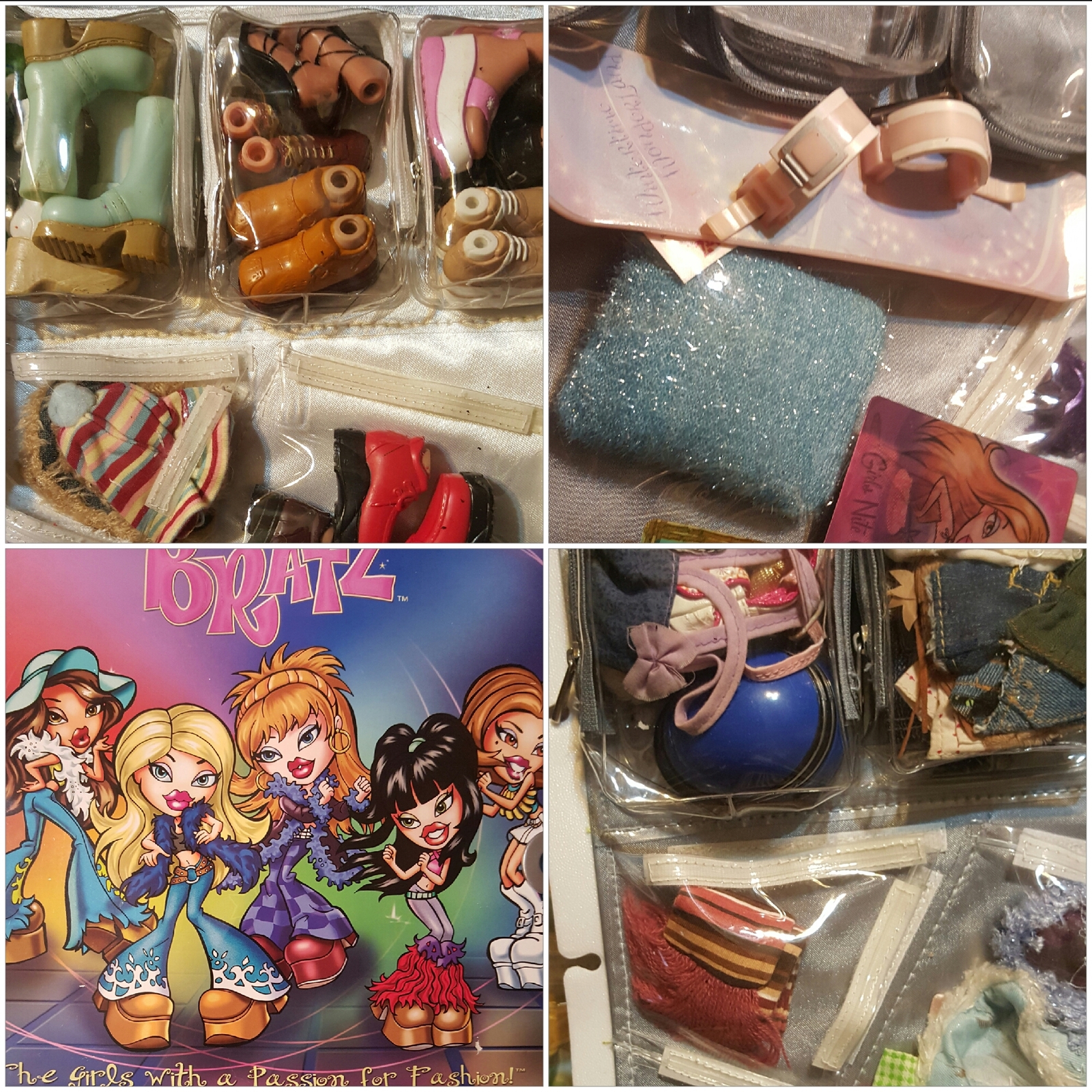 Bratz Dolls, Case, Accessories Bratz