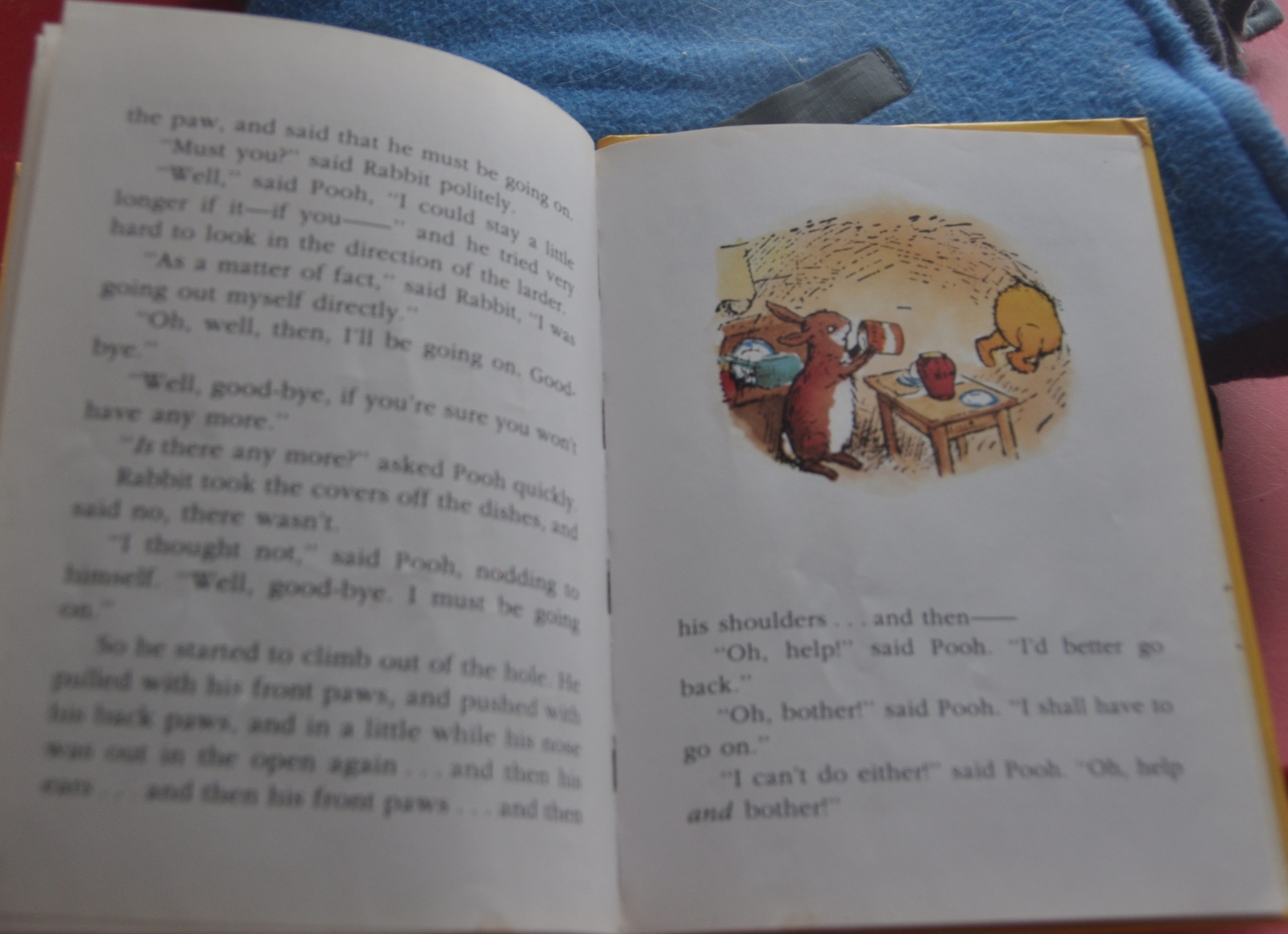 Winnie the Pooh Book - Silly Bear Stuck in Rabbit's Hole - Pooh Goes ...