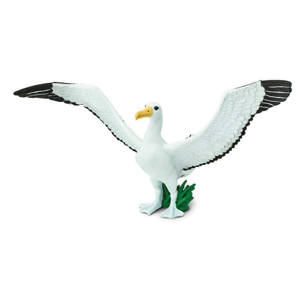 Primary image for Safari Ltd Albatross 150729  bird  Wild Safari North  American collection ***<>