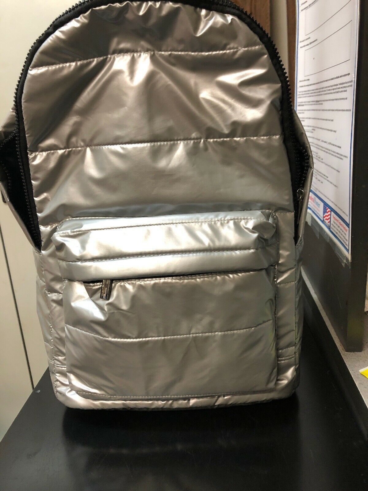 Wild Fable Backpack (BRAND NEW) Silver Gloss Fashion