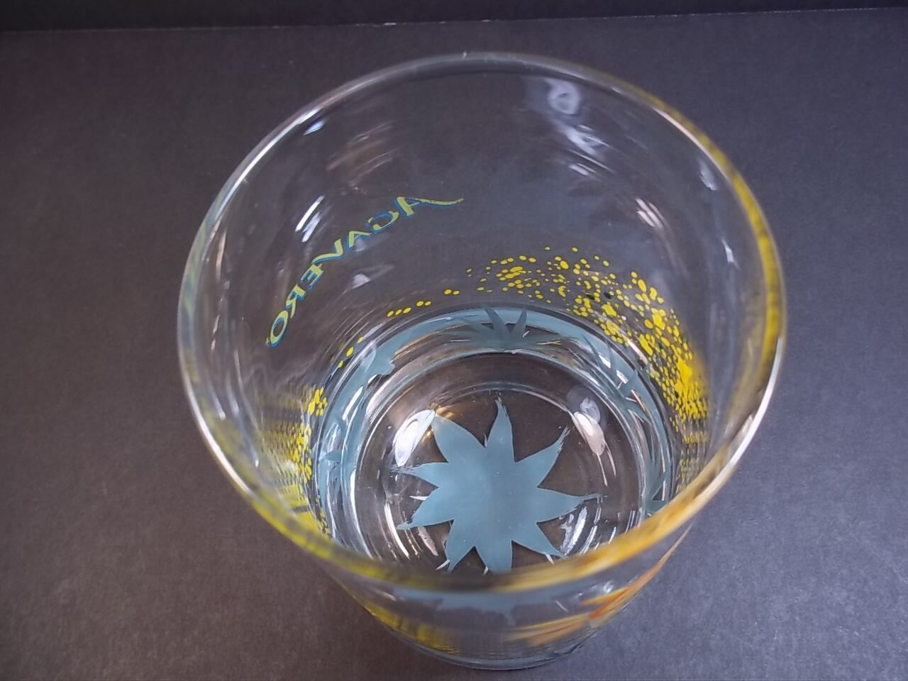 Agavero Tequila rocks glass Hand Painted Debbie Limited