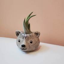 Handpainted Bear Pot with Air Plant, live plant, ceramic animal Airplant holder image 3
