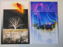Original Art Note Cards Suitable For Framing - Digital Painting &amp; Photog... - $16.00