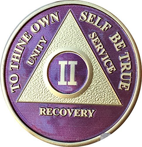 2 Year AA Medallion Purple Gold Plated Alcoholics Anonymous Sobriety Chip