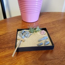Mini Zen Garden with Air Plants and Polished Stone, Desktop Airplant Planter image 2