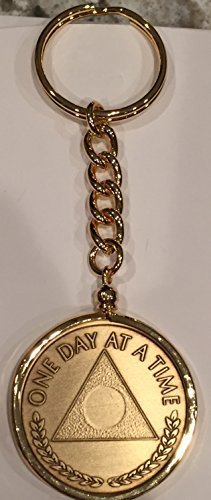 One Day At A Time Triangle AA Al-Anon Medallion Keychain Chip Holder Gold Plated