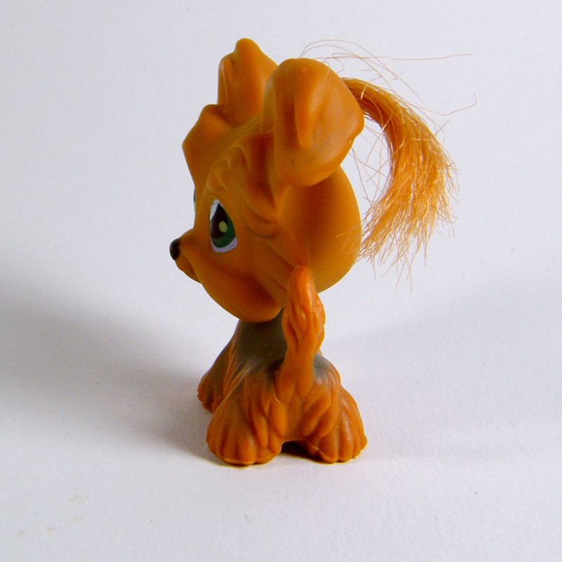 Littlest Pet Shop 6 YORKIE Dog Caramel Yorkshire Terrier Teal Blue