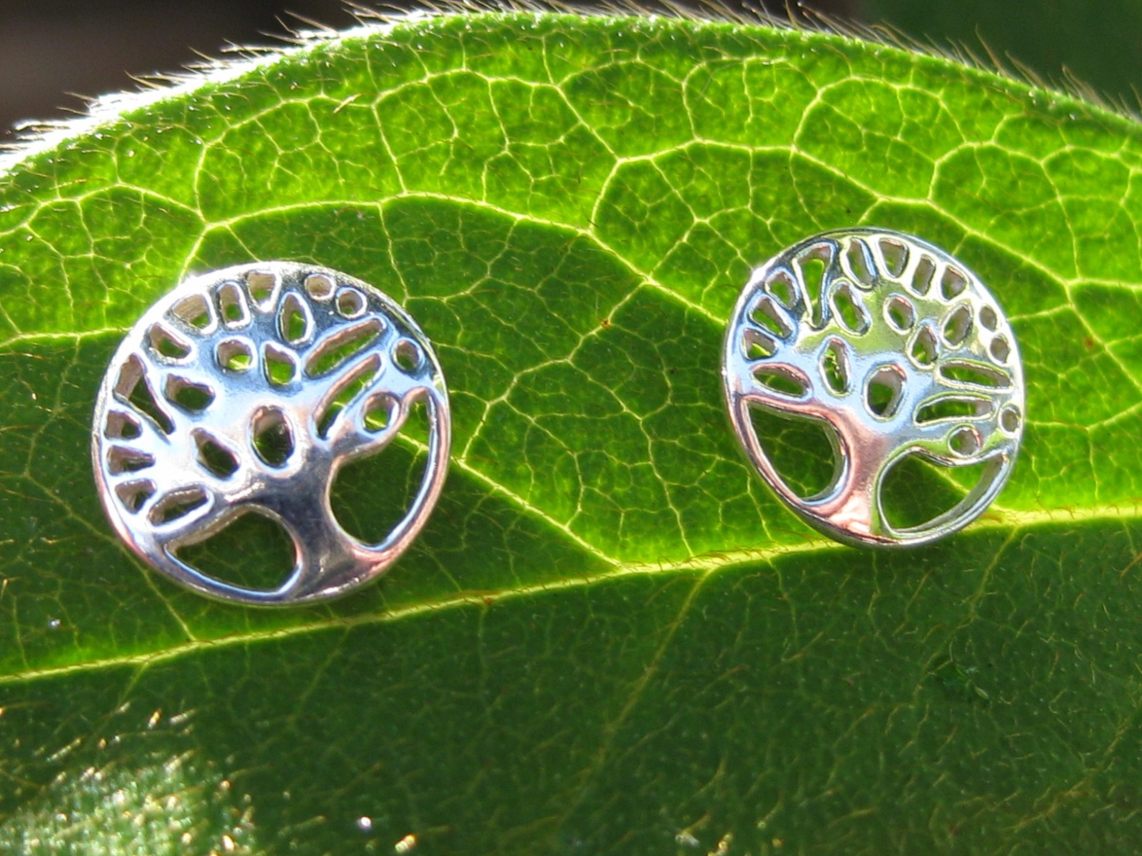 Powerful Tree of Life Stud Earrings Cast with 10 Ancient spells