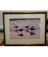 &quot;Twilight on the Beach&quot; by Lynn Stone SIGNED Photograph - $93.50