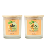 Fruits &amp; Passion Alo Orange Cantaloup Plant Based Wax Candle 7.7 Oz - 2 ... - $34.99