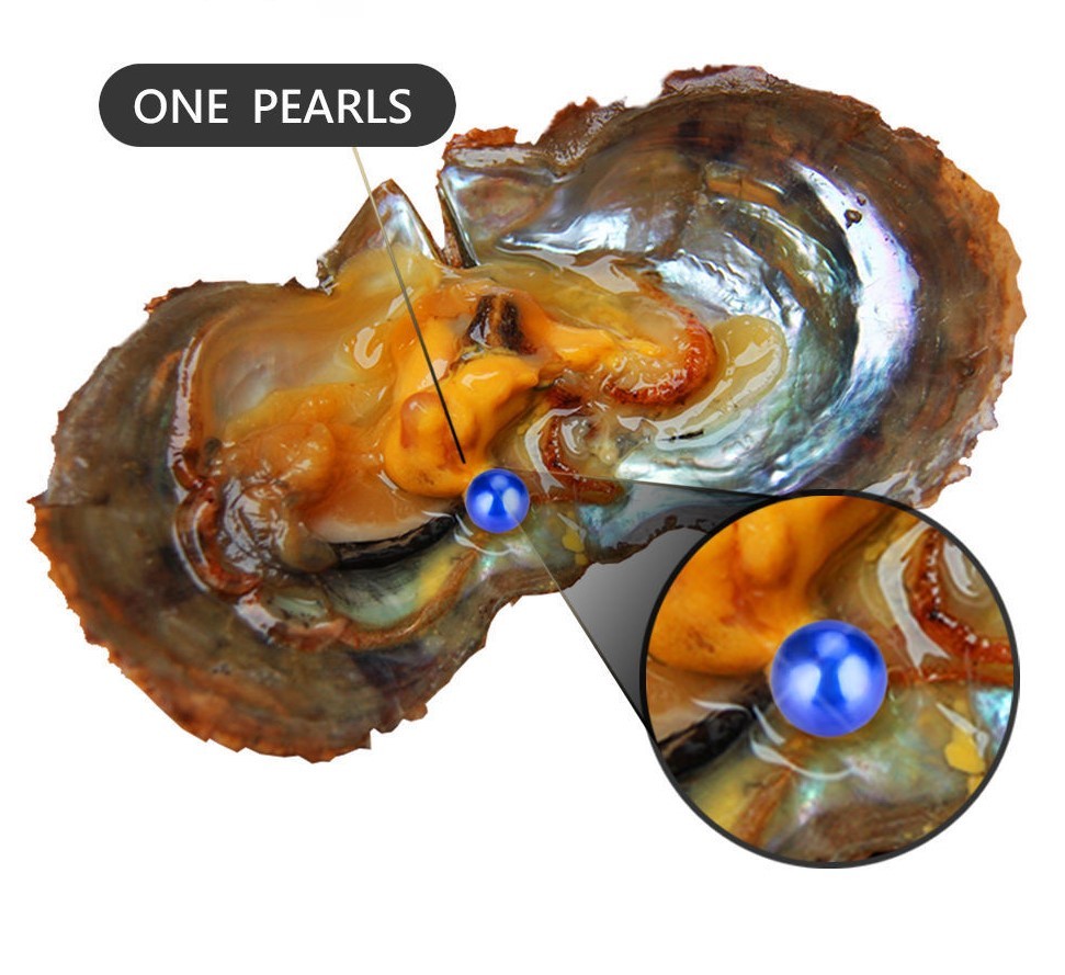 Deep Blue Akoya Oyster Pearl Vacuum-Packed 6- 7m packed Freeship 30 pcs ...