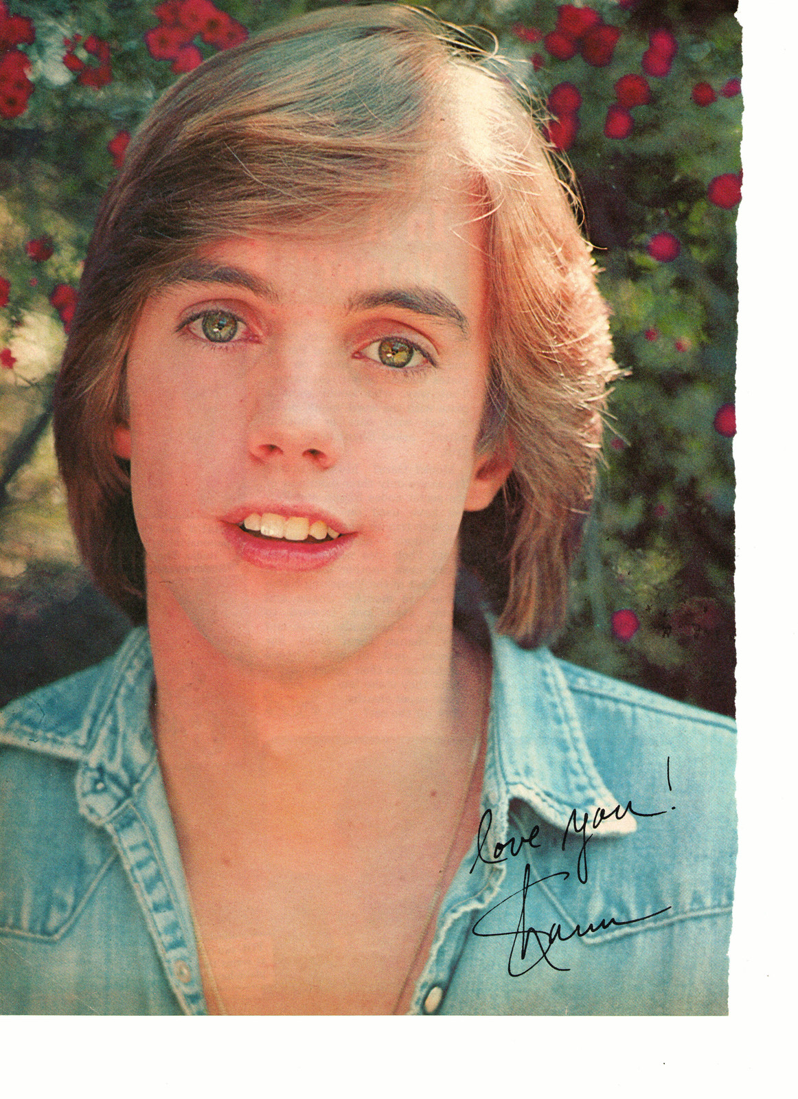 Show full-size image of Shaun Cassidy teen magazine pinup clipping close up...