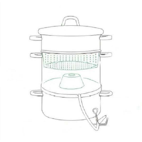 steamer and extractor