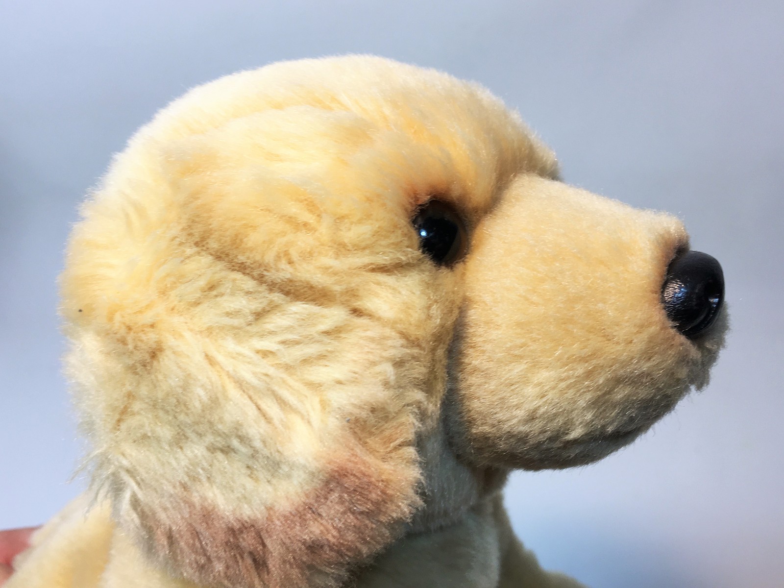gund labrador