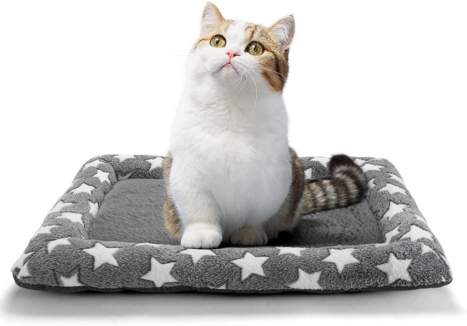 Primary image for Dog Crate Mat Dog Bed for Small Medium Dogs Ultra Soft Crate Pad with Star Print