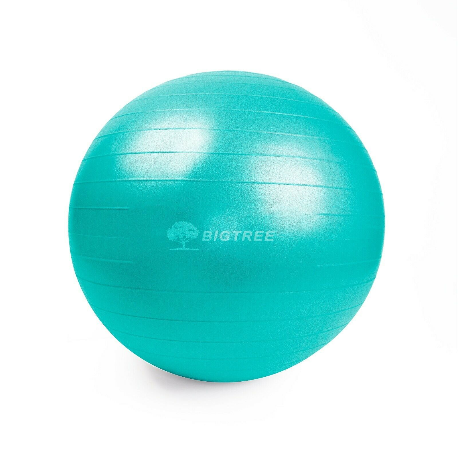 25.5″ (65 cm) Yoga Ball Exercise Core Stability Strength Anti-Burst Teal