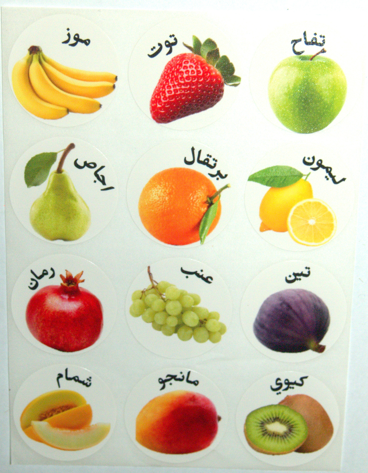 Learn Arabic Teaching Aid School Madrasa Children Kids 120 Fruit