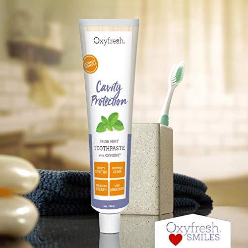 Oxyfresh Fluoride Mint Toothpaste Low Abrasion, Cavity Fighting