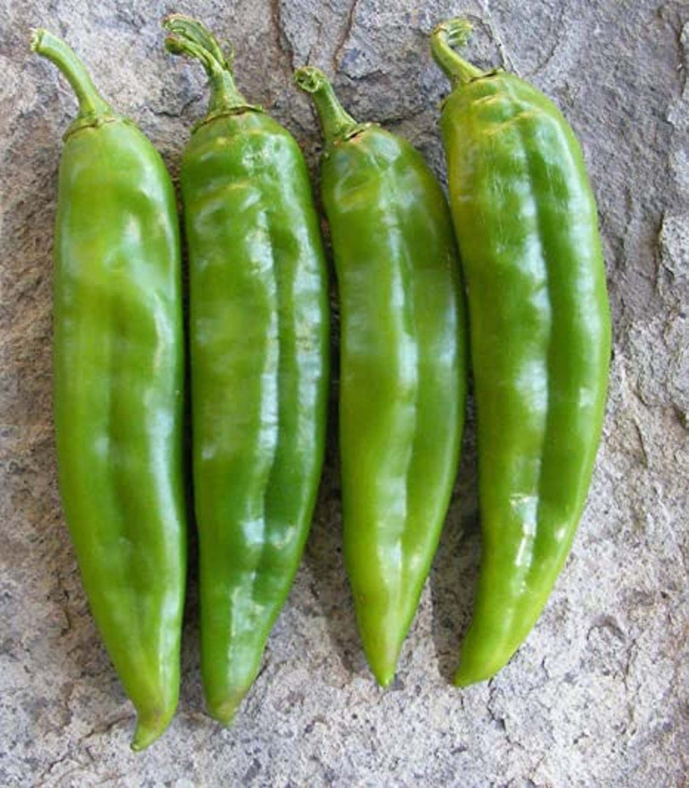 Numex Big Jim Pepper * Largest Chile Pepper * Hot * 12 Inches * 10
