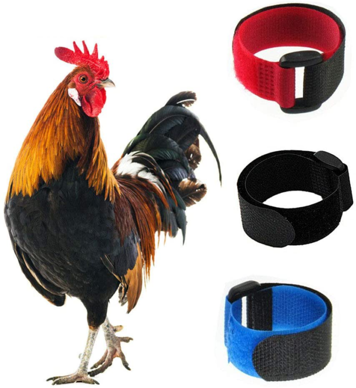 3 Pack No Crow Rooster Collar Chicken Collar Anti-Hook Noise Free Neckband NEW