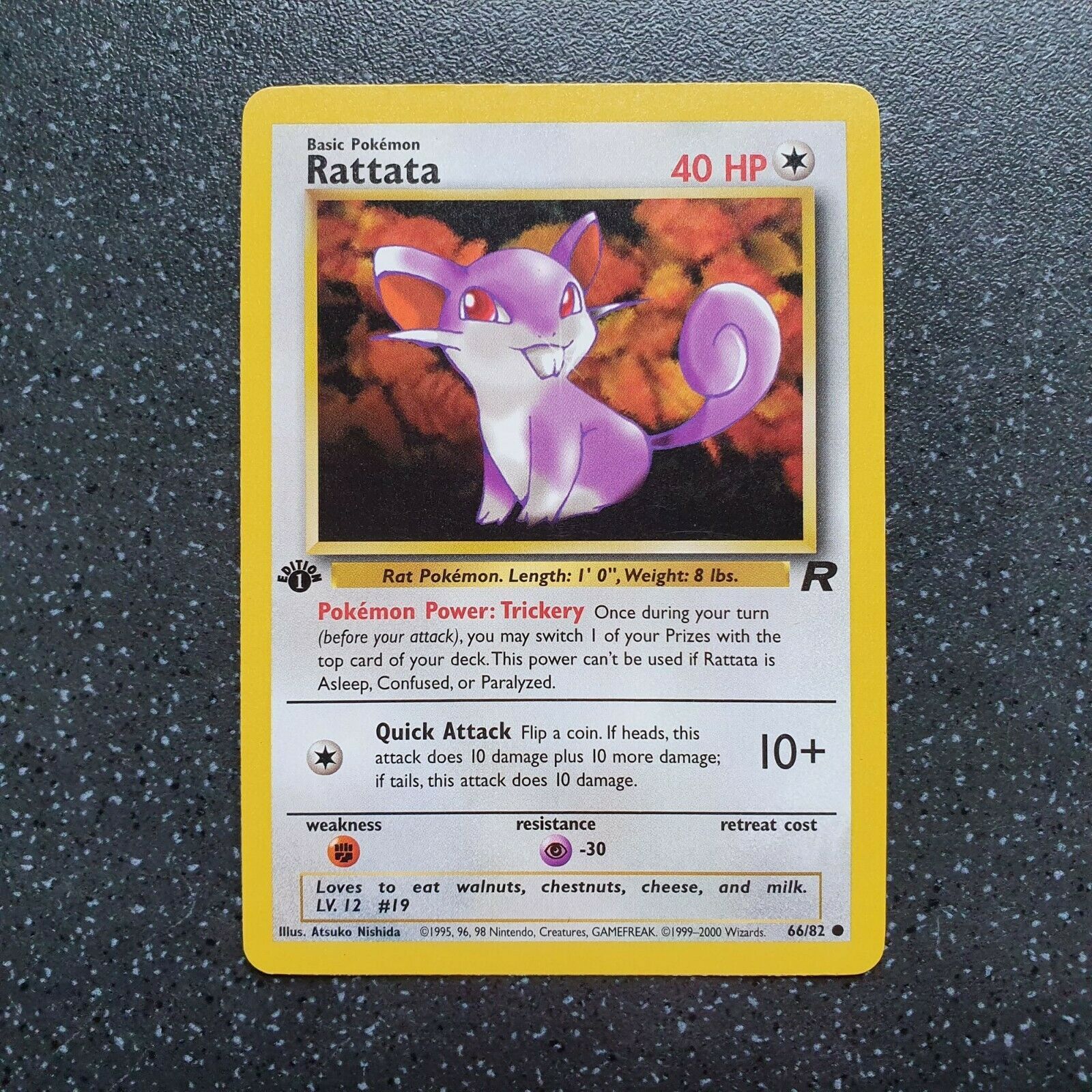 Pokemon Card VINTAGE Box (Holo & Sealed TCG Cards) 1st Edition Charizard? Boxes