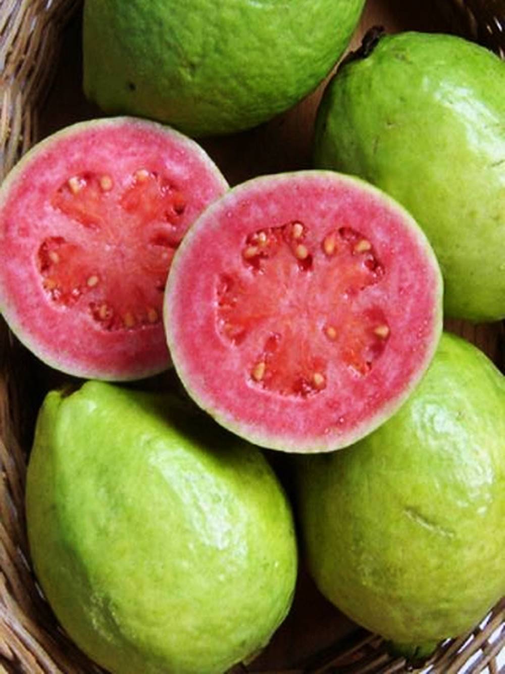 Pink Guava Psidium guajave Myrtaceac 10 Seeds ThailandMrk - Plants ...