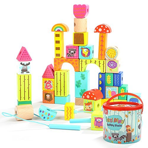TOP BRIGHT Wooden Building Blocks Set, Gifts for Toddlers, Toys for 2 3 Year Old Blocks
