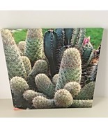 Wall Art Barrel Cactus Paper Print Canvas Style Home Picture Decor 11&quot; x... - £10.45 GBP