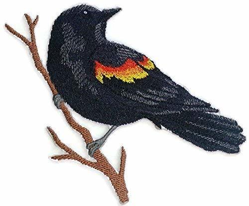 Nature Weaved in Threads, Amazing Birds Kingdom [Single Red Winged Blackbird Bir