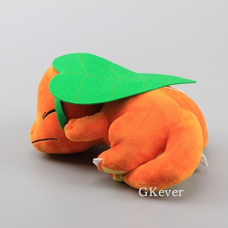 sleeping charmander