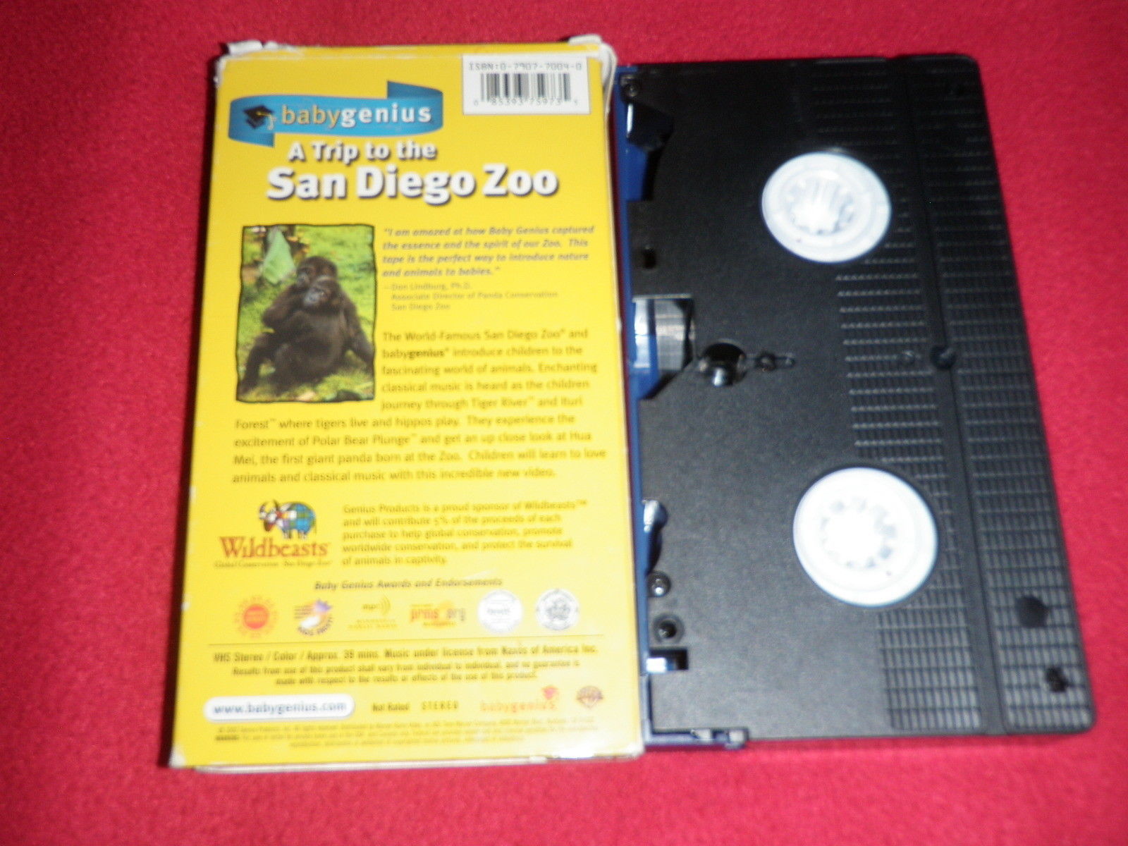 Baby genius a trip to the san diego zoo growing up with winnie the