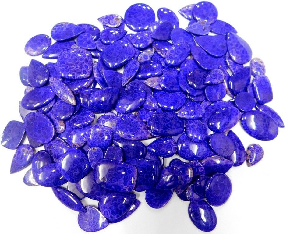 250ct Awesome Blue Fossil Coral Color Coated Cabochon Gemstone ...