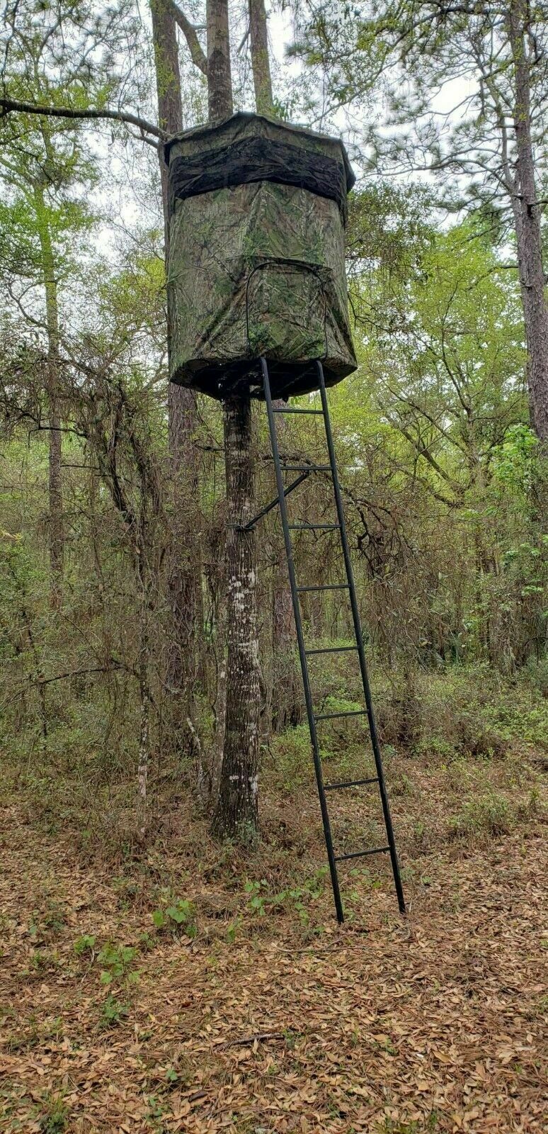 Bow Master Tree Stand Blind With Roof Sale !! Blind & Tree Stand