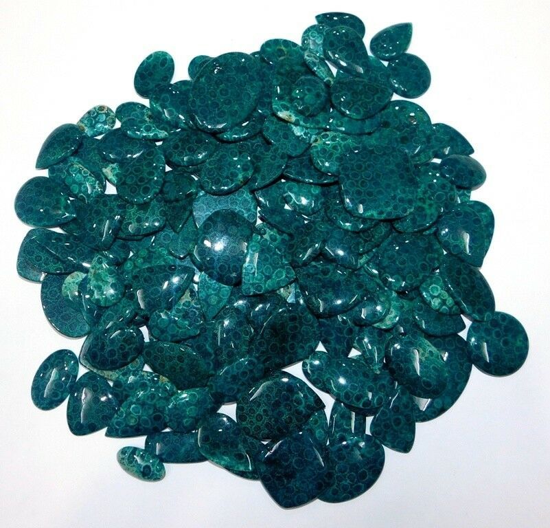 500ct Lovely Green Fossil Coral Color Coated Cabochon Gemstone