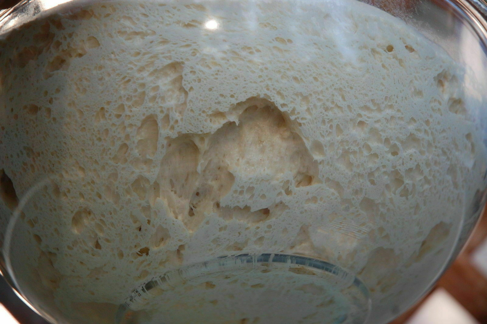 SOURDOUGH bread STARTER yeast flour mix San Francisco BEAST OLD BONANZA