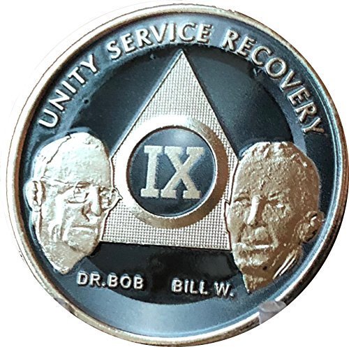 9 Year AA Founders Medallion Titanium Nickel Plated Anniversary Chip IX