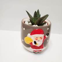 Santa Succulent Planter with Aloe Plant, Holiday Plant Pot, GasterAloe Flow image 1