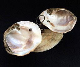 French Palace Royal Boutique Mother-Of-Pearl Shell Ring Holder. 19th cen... - $180.00