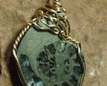 Pyrite Ammonite Pendant Wire Wrapped 14/20 Gold Filled by Jemel - £37.35 GBP