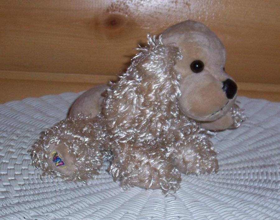 webkinz poofy poodle