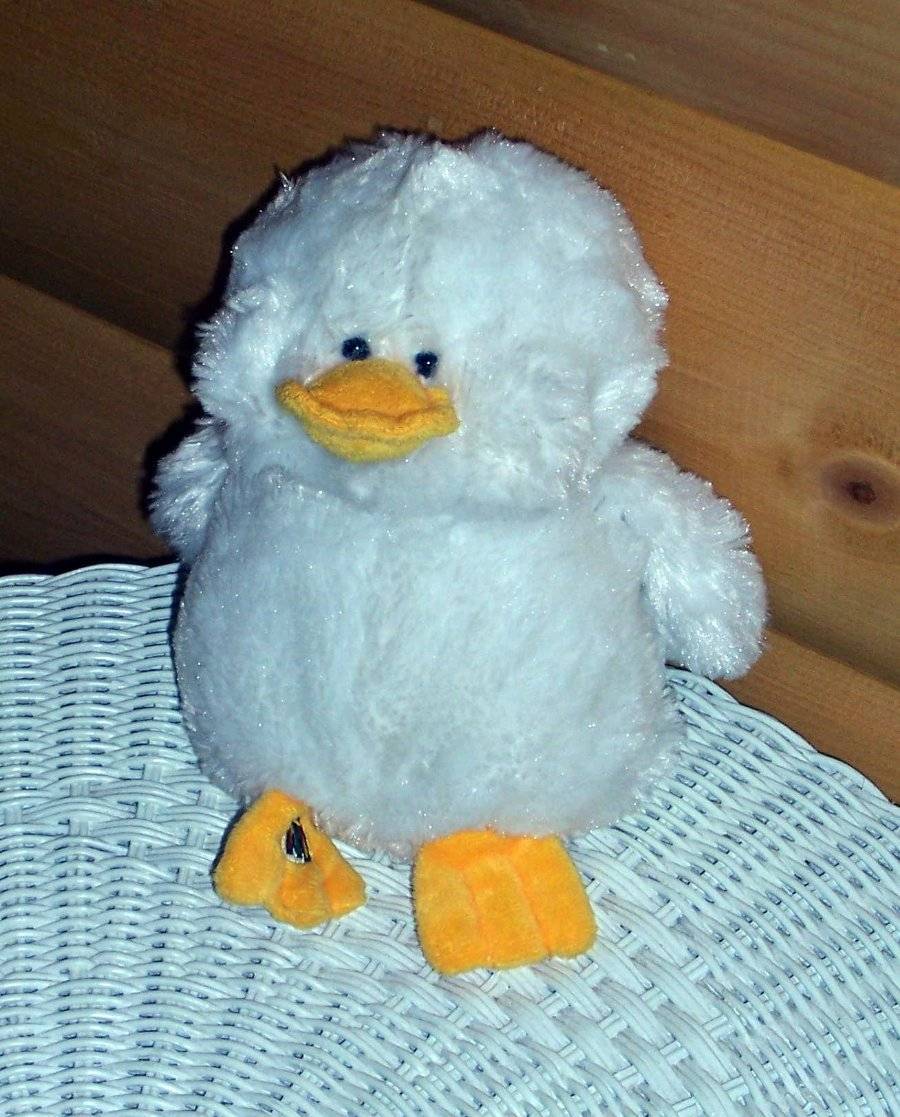 webkinz white duck