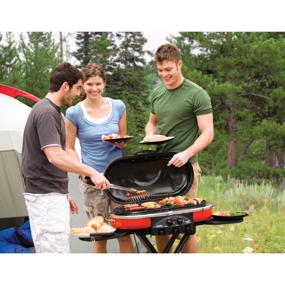Portable Road Trip 2 Burner Outdoor Camping Kitchen Tailgating Propane