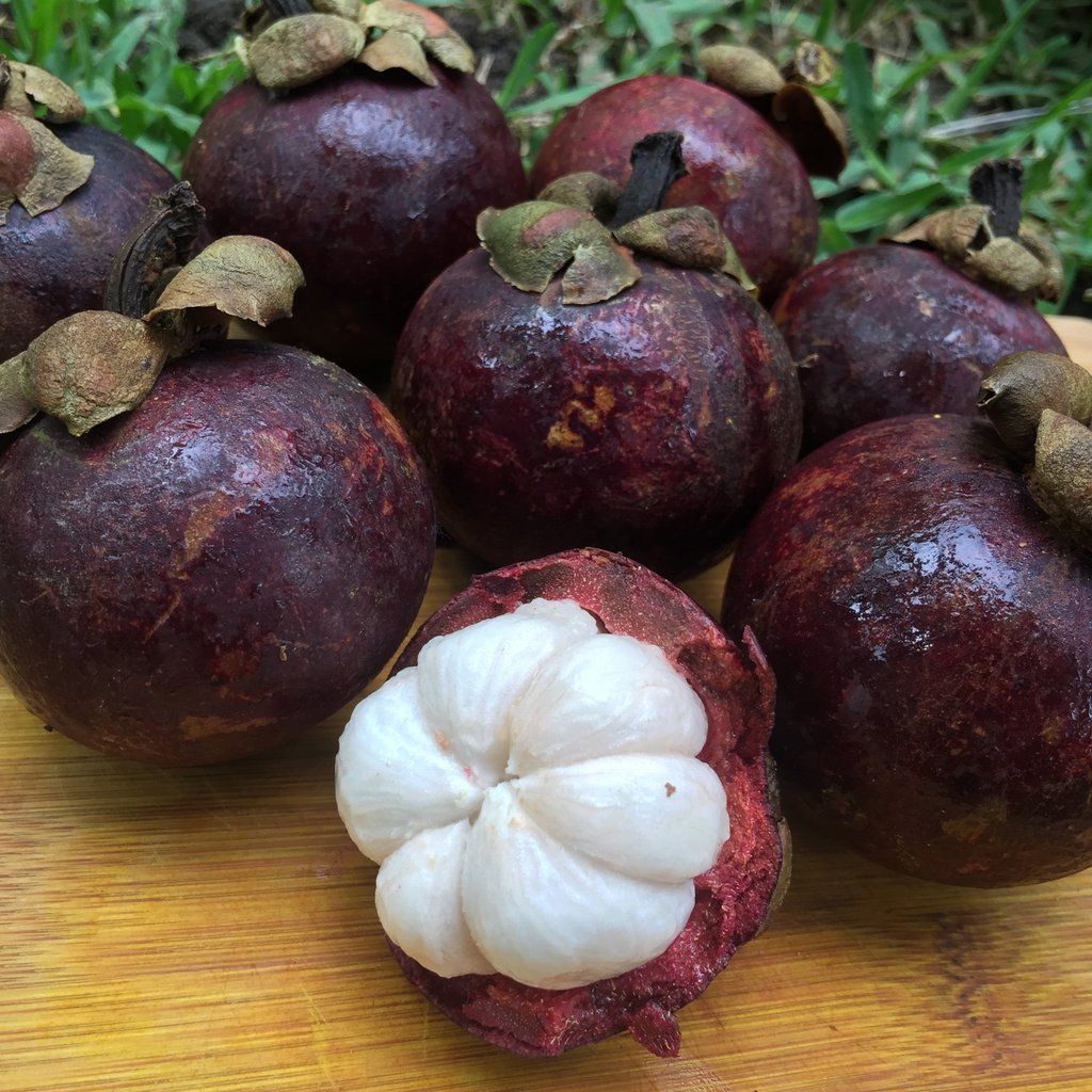 mangosteen powder MANGOSTEEN FRUIT EXTRACT skin care antioxidants