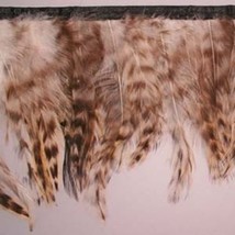 Feather Trim Brown Multicolored Feathers on Black Band Sold by the Yard M217.09 - $10.95